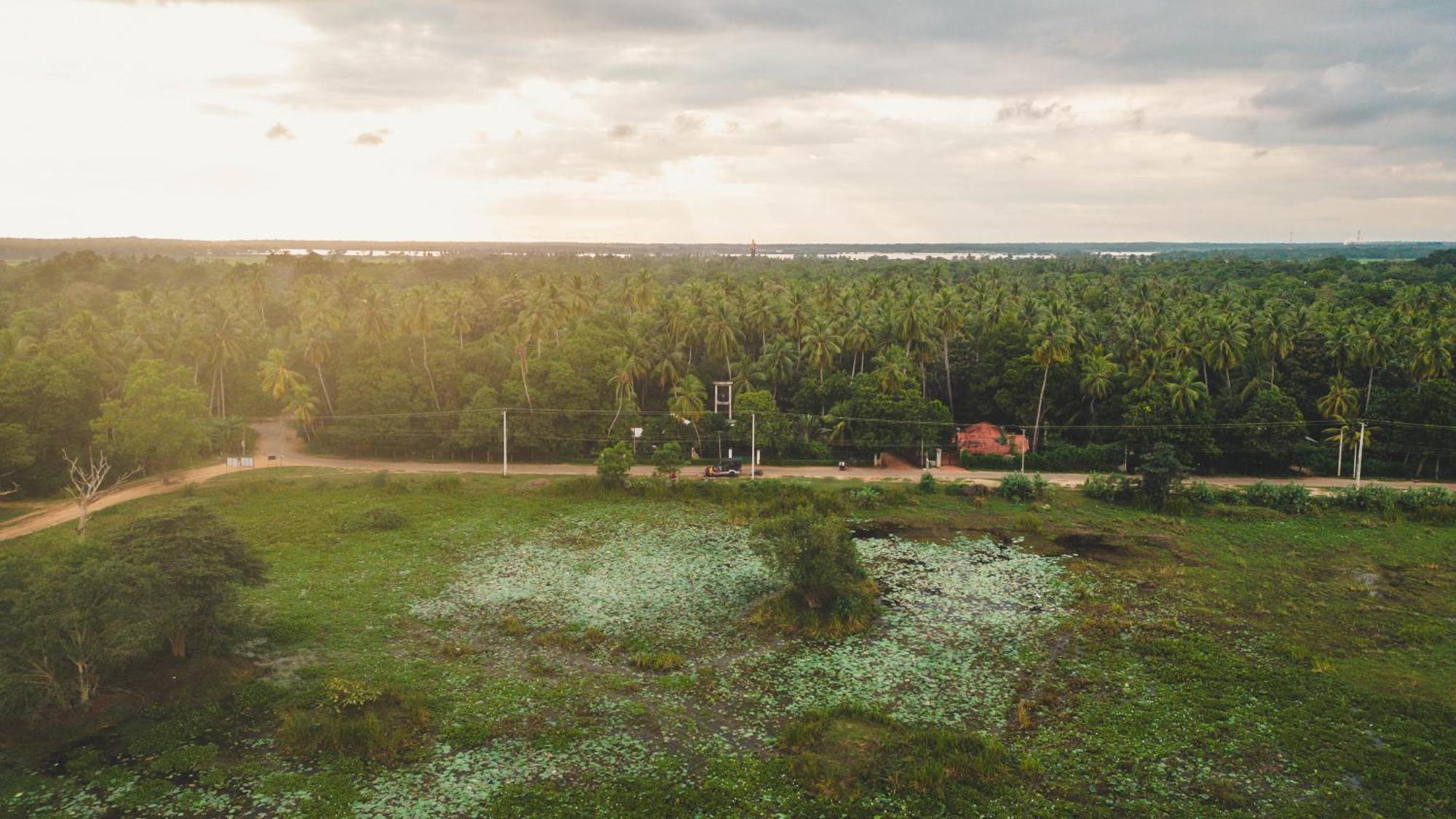 Hotel Tissamaharama Kültér fotó